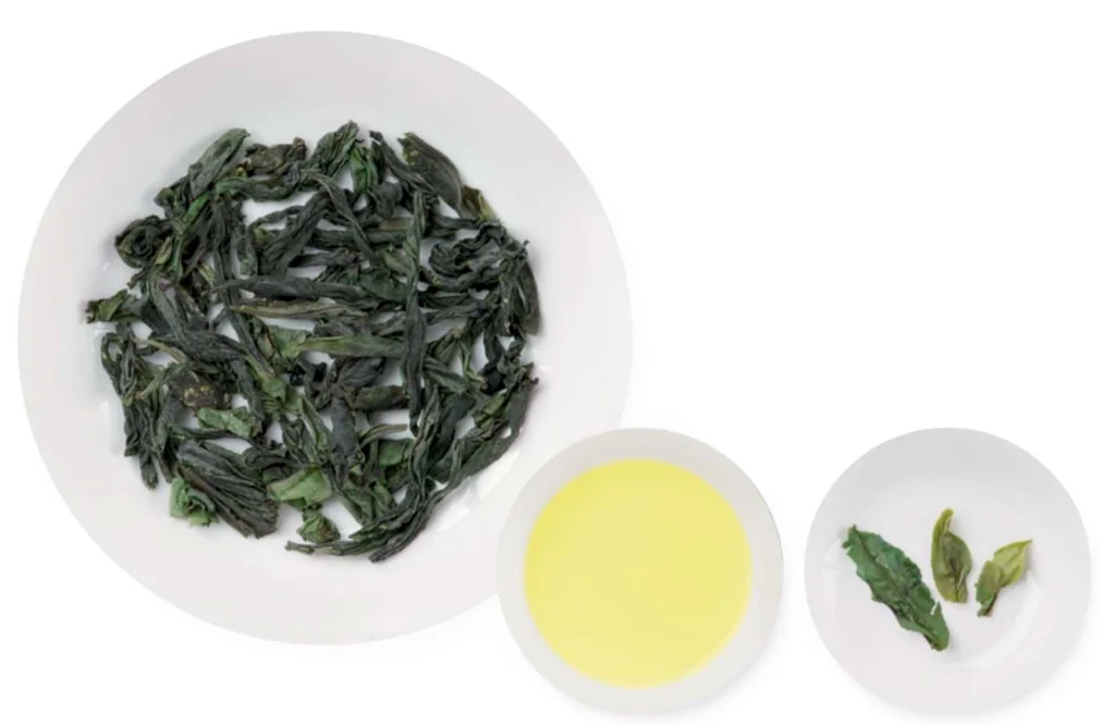 Reference view of Lu'an Guapian dry leaves, pale tea liquor and opened wet leaves.